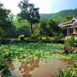 วัดป่าภูมิรัตนหิรัญ