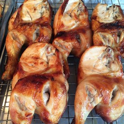 ไก่ย่าง1ตัว