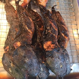 ปลาดุกย่าง