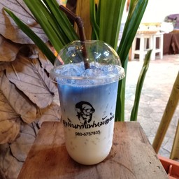 อัญชันนมสด 鲜奶蝴蝶豌豆花