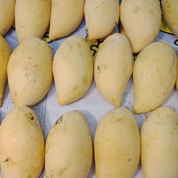 มะม่วงน้ำดอกไม้