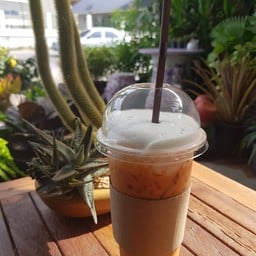 สวนตาอ้วน Coffee&tree