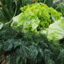 ฃะน่องอุ้ยอุ้ย ขนมจีน