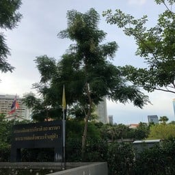 สวนเฉลิมพระเกียรติ80 พรรษา เขตสาทร