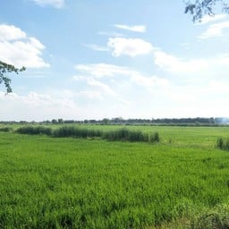 อุทยานปฏิบัติธรรมสมประสงค์ อยุธยา