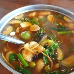 แกงป่าปลากดคัง