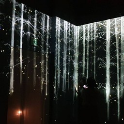 teamLab Borderless