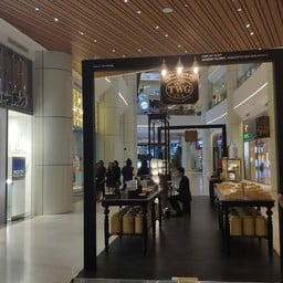 Gurney Paragon