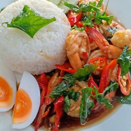 ข้าวกะเพรากุ้ง +ไข่ดาว