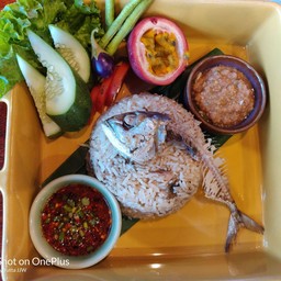 ข้าวแมว