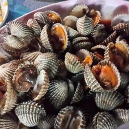 หอยแครงย่าง