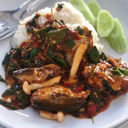 กะเพราปลากระป๋อง