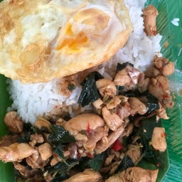 กะเพราไก่+ไข่ดาว