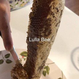 หัวน้ำผึ้งมิ้มป่า ใหญ่