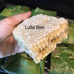 ตัวอ่อนผึ้งหลวงป่า