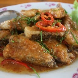 ฉู่ฉี่ปลาหูช้าง ดีมากก