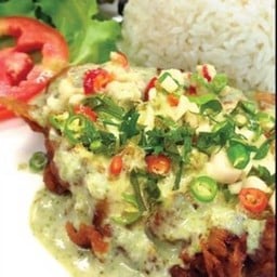 ข้าวหมูทอดซอสครีมมะนาว