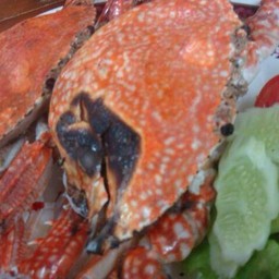 ปูม้าเผา