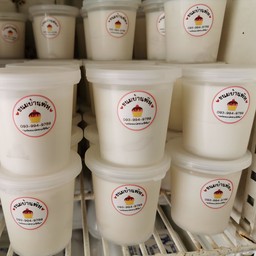 พุดดิ้งมะพร้าวอ่อน