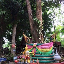 วัดมรุกขนคร