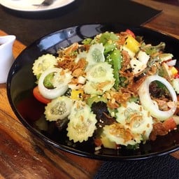 Box Wood ขอนแก่น