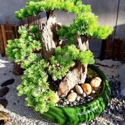 ขอตกแต่งหน้าร้าน