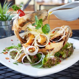 ปลากระพงหลงทาง