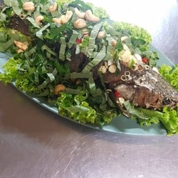 ปลาช่อนใบชะพลู