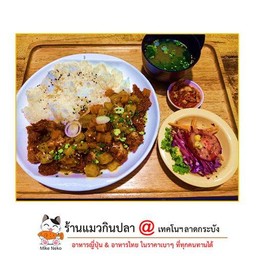 ชุดข้าวแกงกระหรี่ หมูทอดทงคัตสึ (รวมชุด SET ซุปมิโซะ + สลัดผัก + กิมจิ)