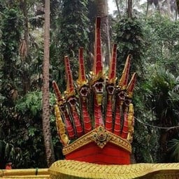 ป่าคำชะโนด