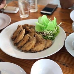 ปลาเผาเขาตอง ปลาช่อนตัวใหญ่