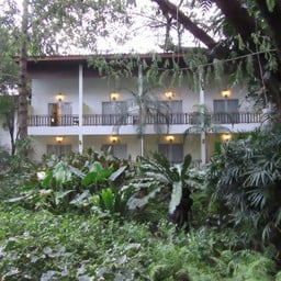 โรงแรมบ้านต้นไม้ (Tree House Hotel) - รีวิวที่พัก - Wongnai