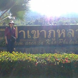 ป่าเขาภูหลวง