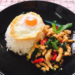 กะเพราไก่ราดข้าว