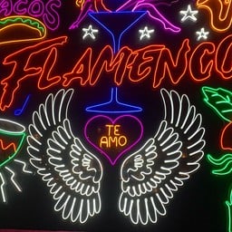 Flamenco