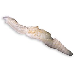 คลีบปลาตาเดียวซูชิ