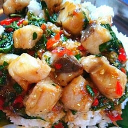 กะเพราปลากะพง