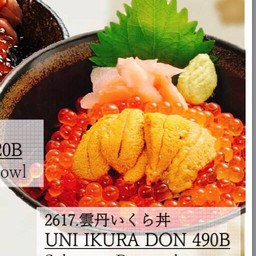 UNI IKURA DON