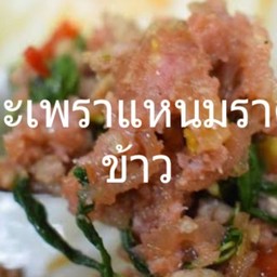 กะเพราแหนมราดข้าว