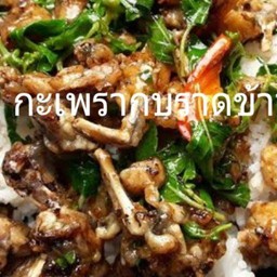 กะเพรากบสับราดข้าว