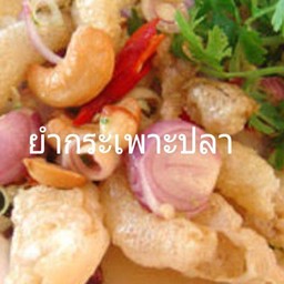 ยำกระเพาะปลา(กับ)