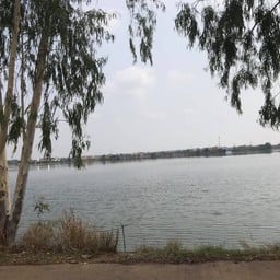 บึงหนองโคตร