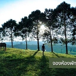 Khaokho Boutique Camps