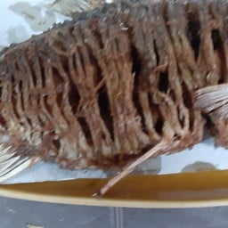 ที่ร้านขายดีสุด ตัวใหญ่ค่ะ