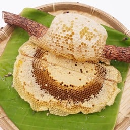 รังผึ้งป่า (M)