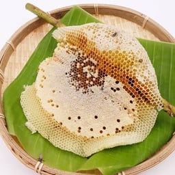 รังผึ้งป่า (XL)