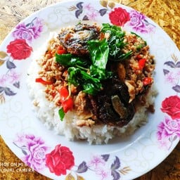 กระเพรา+ไข่เยี่ยวม้าราดข้าว