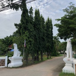 วัดพญาวัด