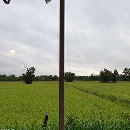 วิวที่พักนอกหน้าต่าง