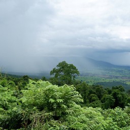 ฝนตกหมอกลงคือฟินมาก